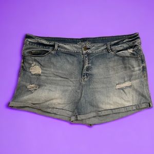 American Rag Distressed Jean Shorts